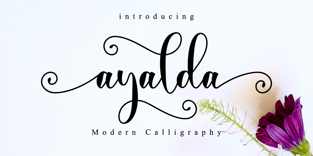Ayalda Font | Webfont & Desktop | MyFonts