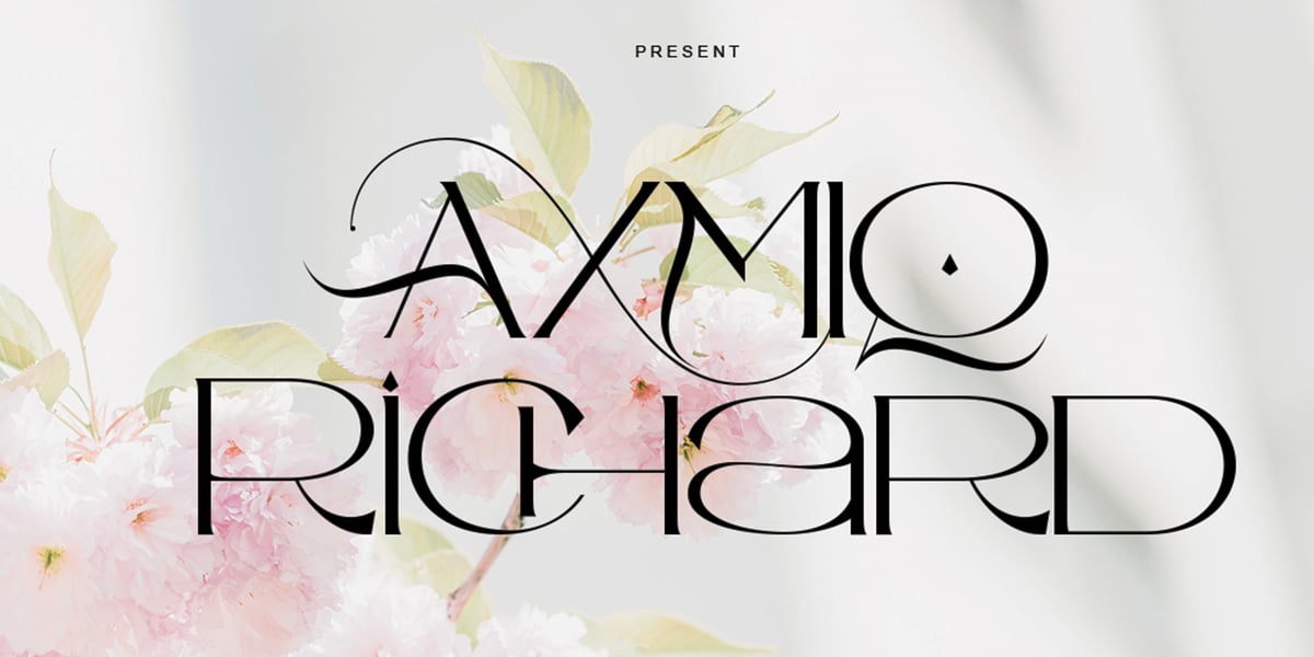 Axmiq Richard Font | Webfont & Desktop | MyFonts