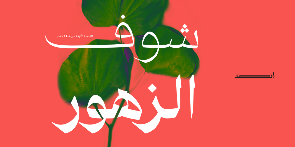 www.myfonts.com