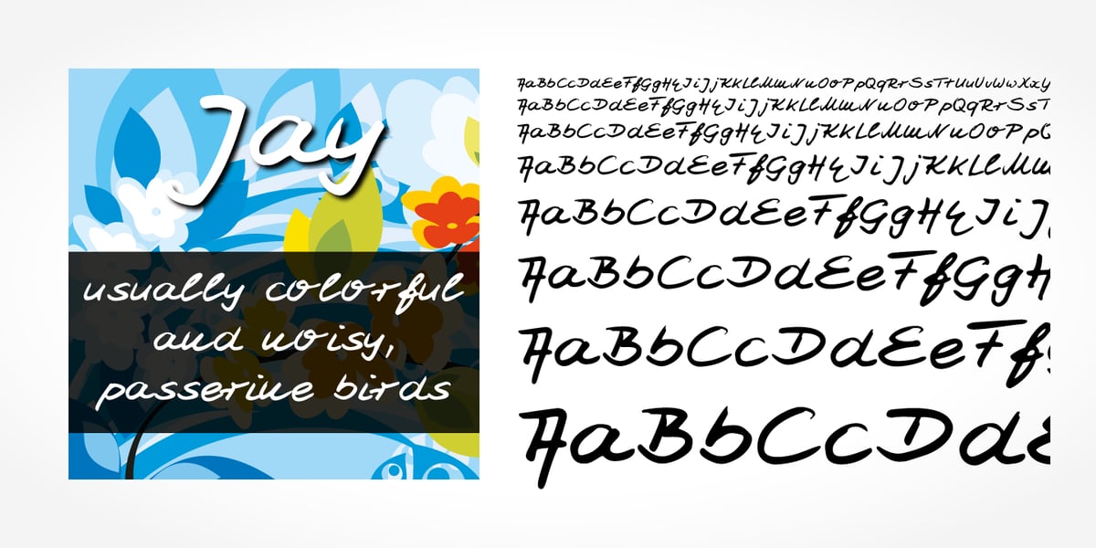 Jay Rhoa Lettering Jay Handwriting Pro Font | Webfont & Desktop | MyFonts