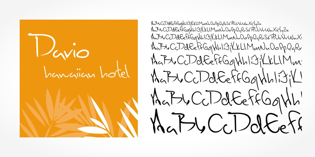 Dario Handwriting Font | Webfont & Desktop | MyFonts