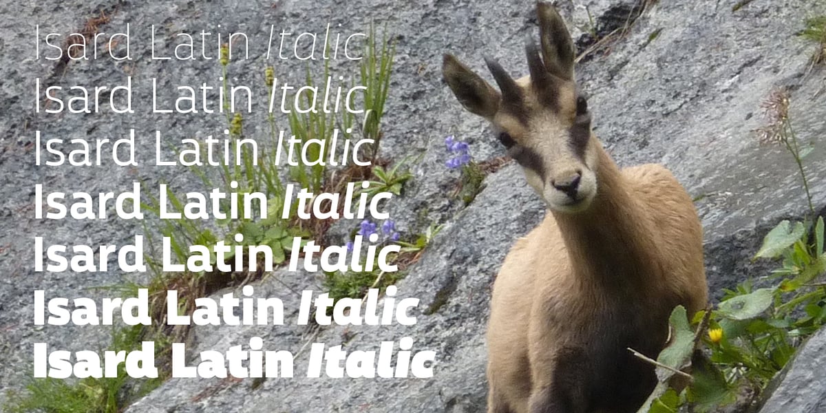 Isard Font | Webfont & Desktop | MyFonts