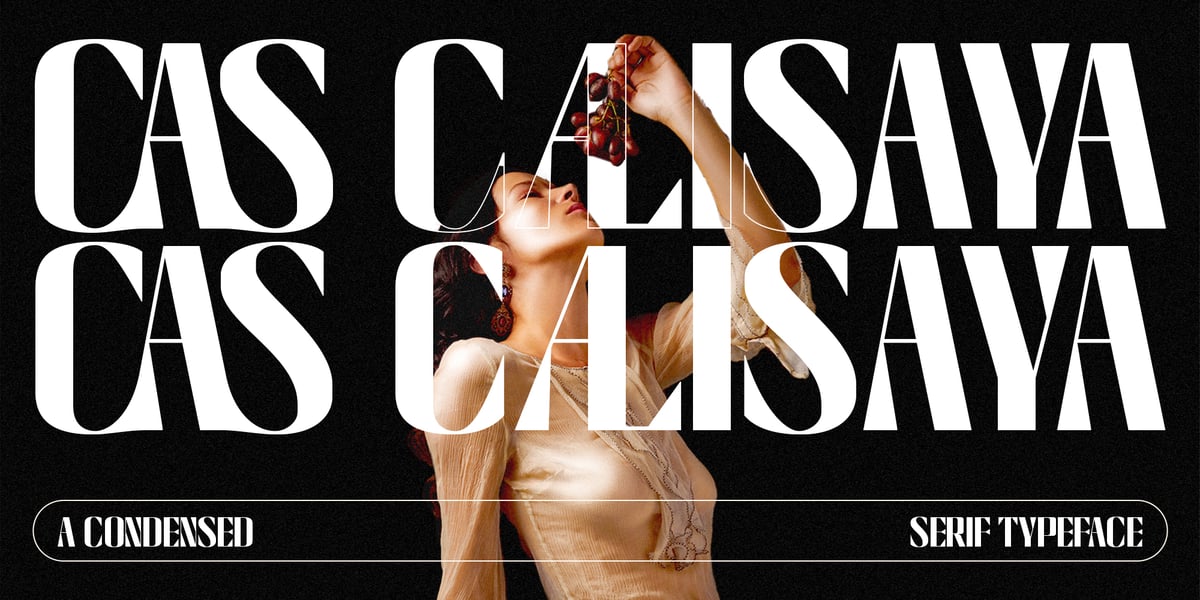CAS Calisaya Font | Webfont & Desktop | MyFonts