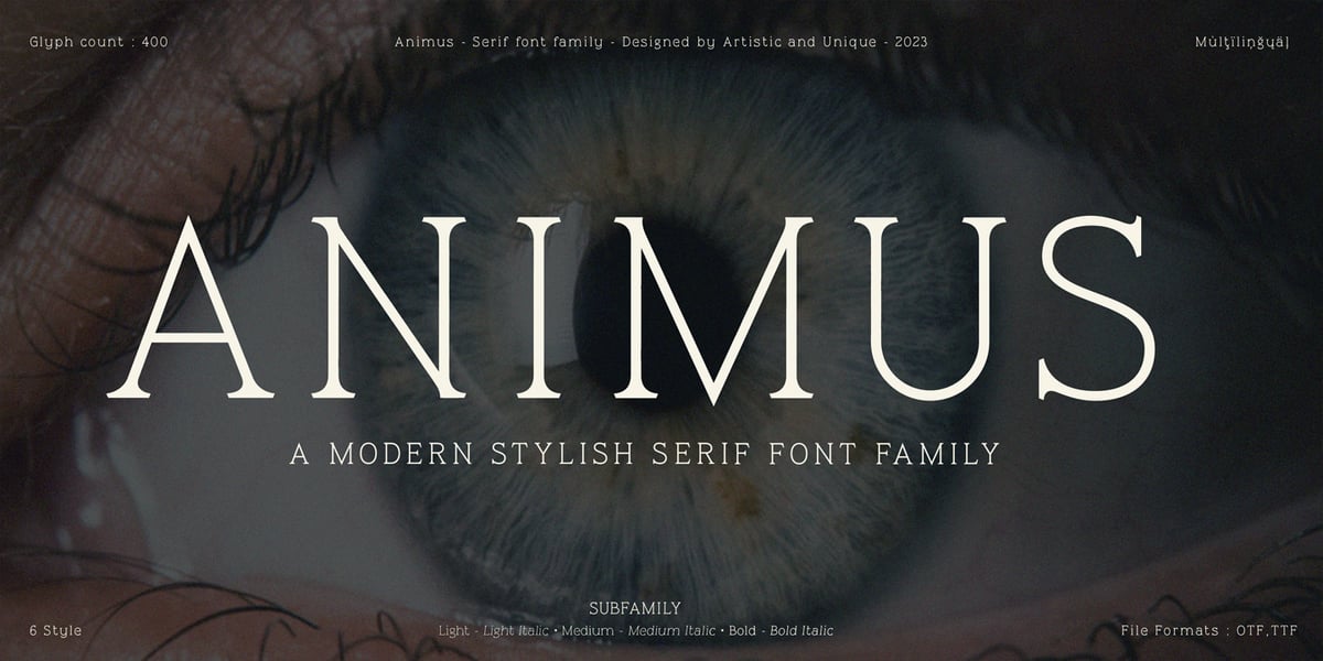 Animus Font | Webfont & Desktop | MyFonts