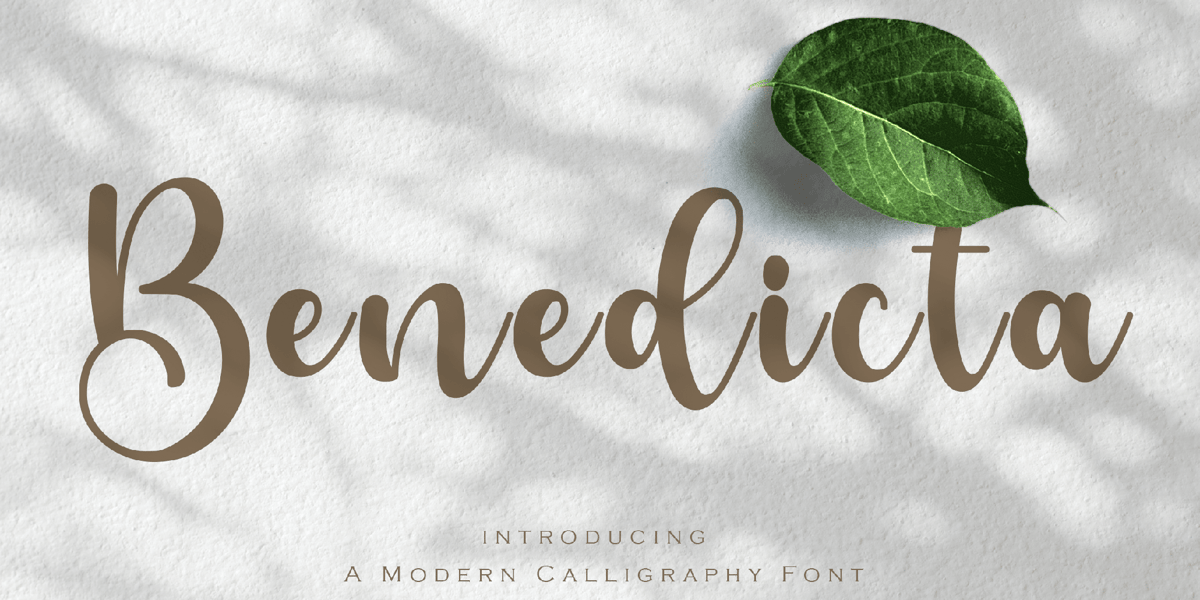 Benedicta Font | Webfont & Desktop | MyFonts