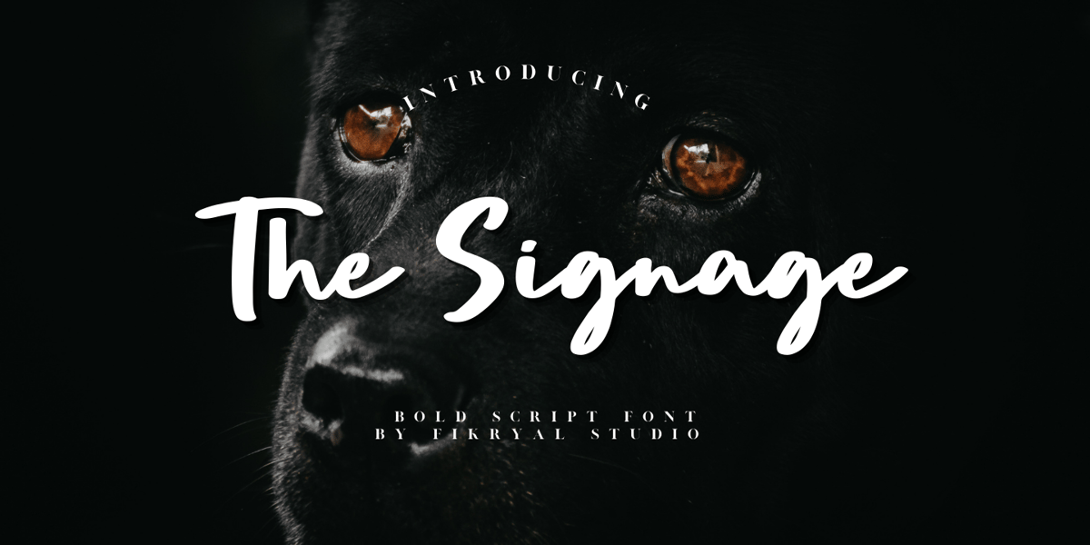 The Signage Font | Webfont & Desktop | MyFonts