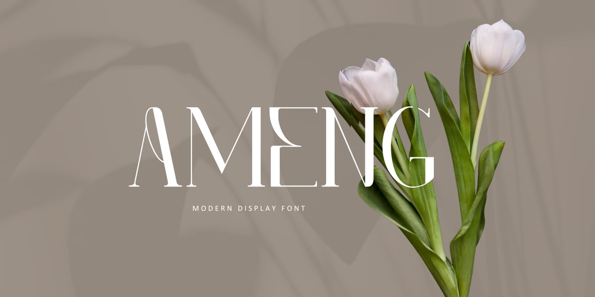 Ameng Font | Webfont & Desktop | MyFonts
