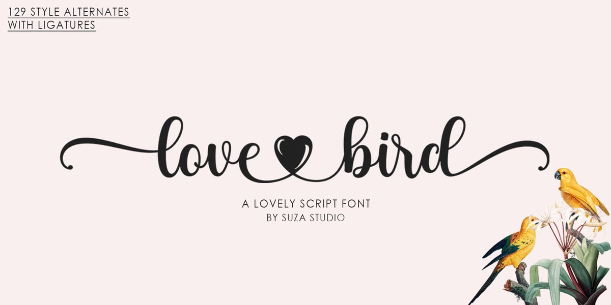 Love Bird Script Font | Webfont & Desktop | MyFonts