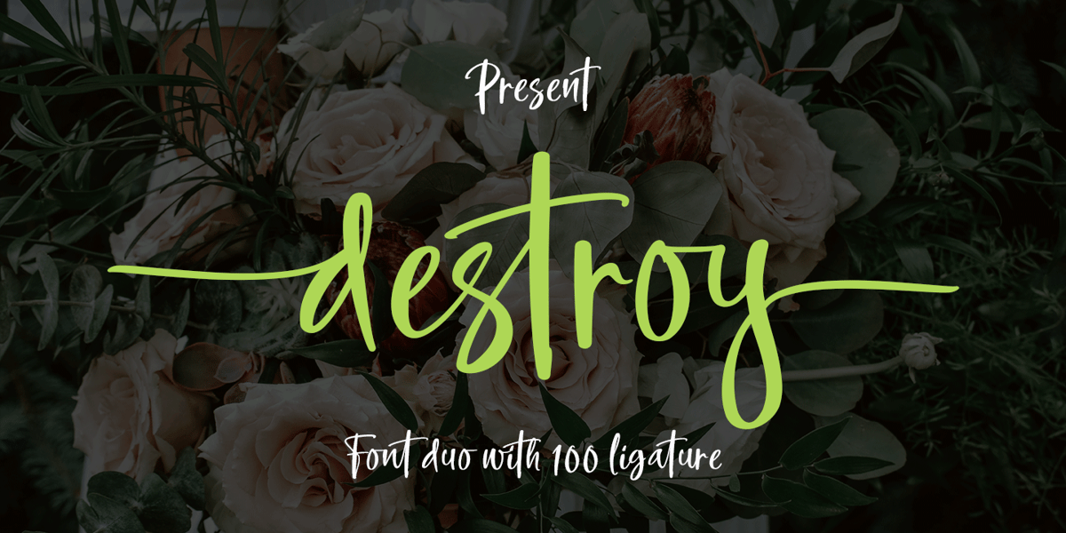 Destroy Font | Webfont & Desktop | MyFonts