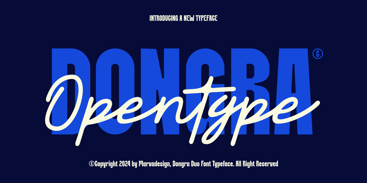 Dongra Font | Webfont & Desktop | MyFonts
