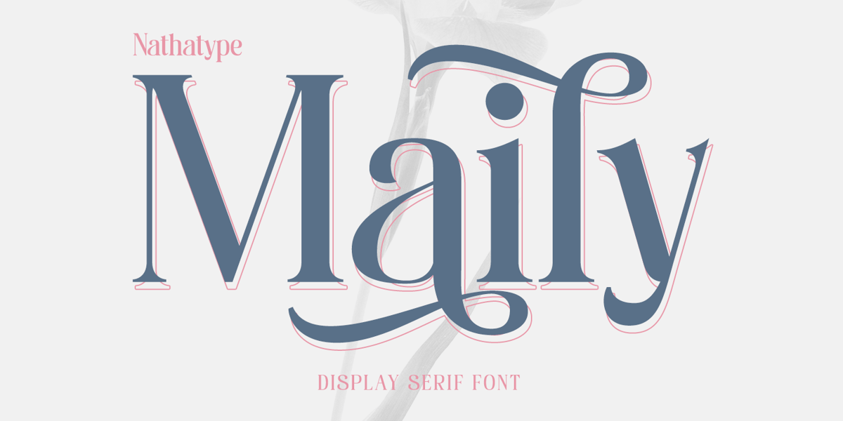 Meiley Lettering Maily Font | Webfont & Desktop | MyFonts