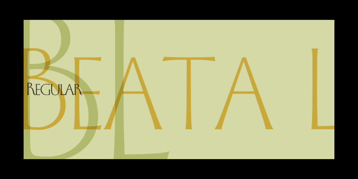 Beata LP Font | Webfont & Desktop | MyFonts