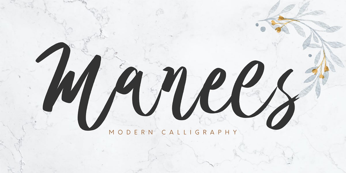 Manees Font | Webfont & Desktop | MyFonts