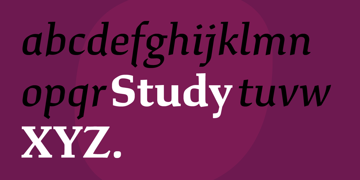 Lesson Study Font Study Font | Webfont & Desktop | MyFonts