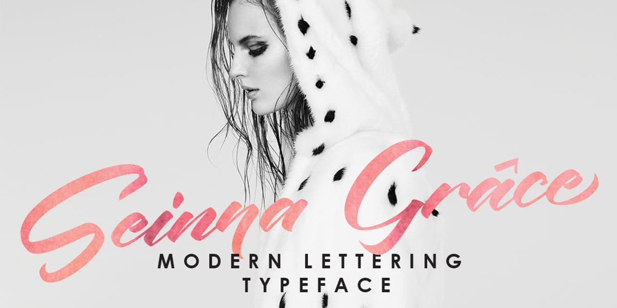 Seena Lettering Seinna Grace Font | Webfont & Desktop | MyFonts