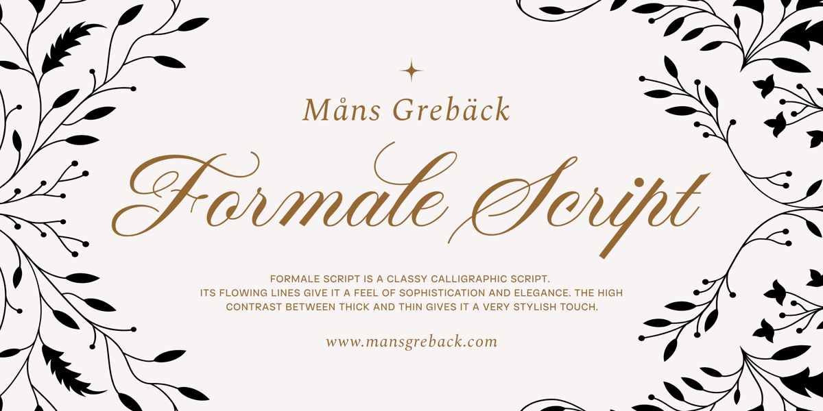 Formale Script Bold Font | Webfont & Desktop | MyFonts