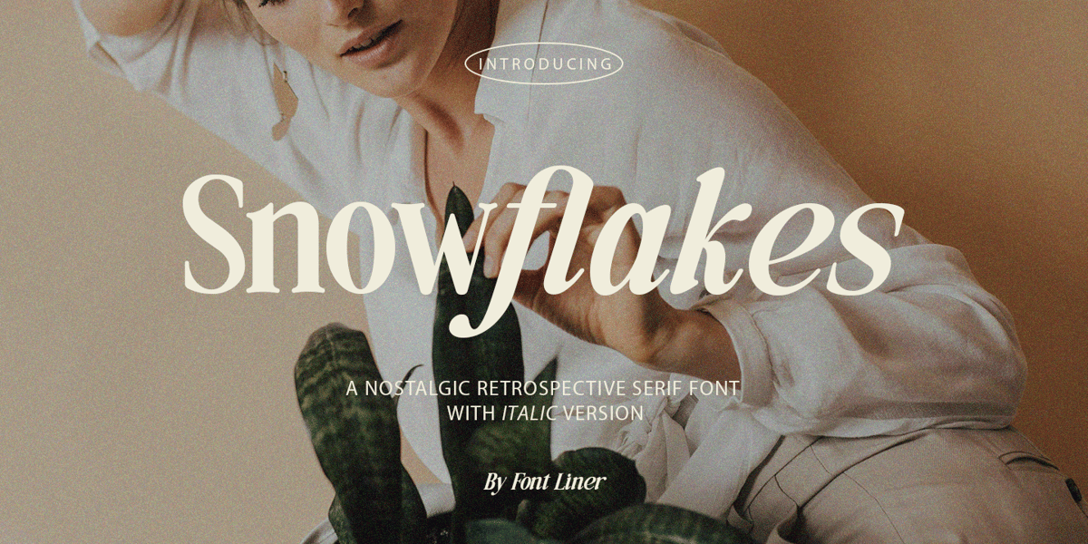 Snowflake Font Numbers Snowflakes Font | Webfont & Desktop | MyFonts