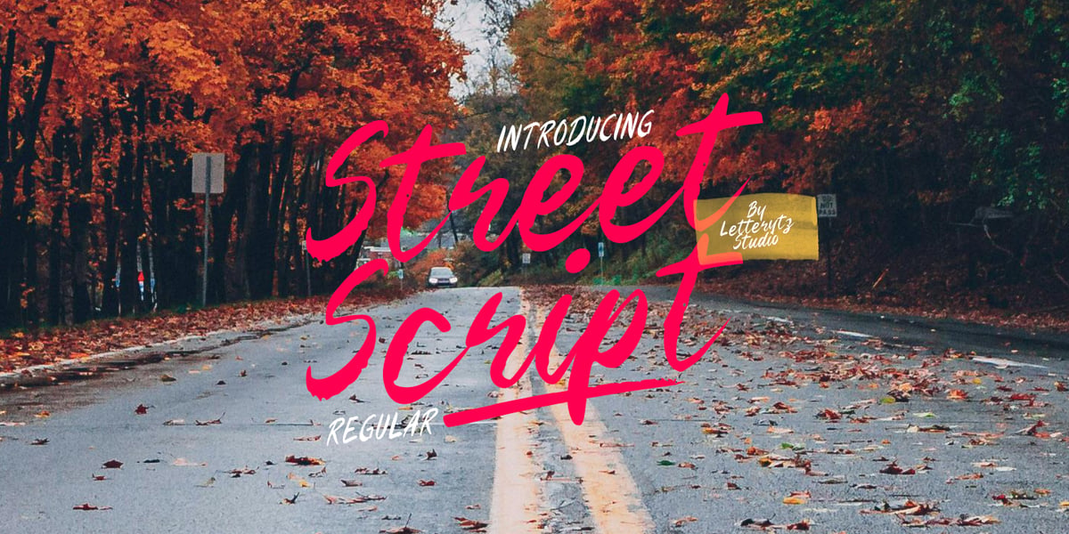 Street Script Font | Webfont & Desktop | MyFonts