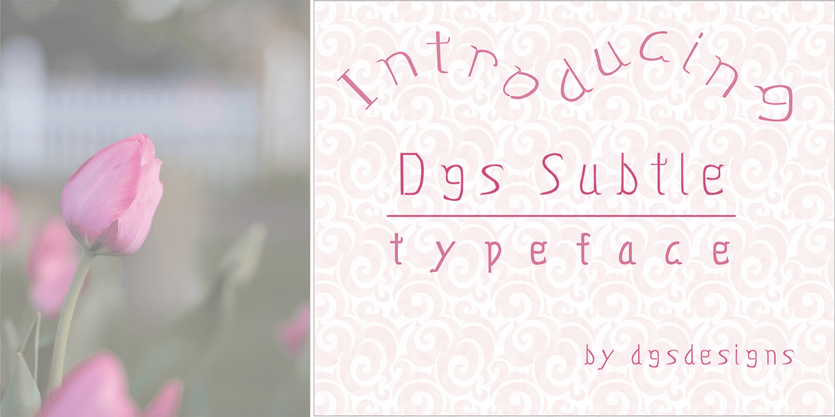 Subtle Fas Dgs Subtle Font | Webfont & Desktop | MyFonts