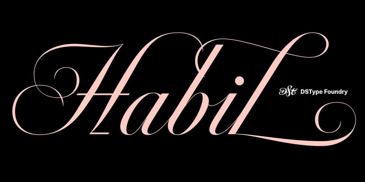 Habil Font | Webfont & Desktop | MyFonts
