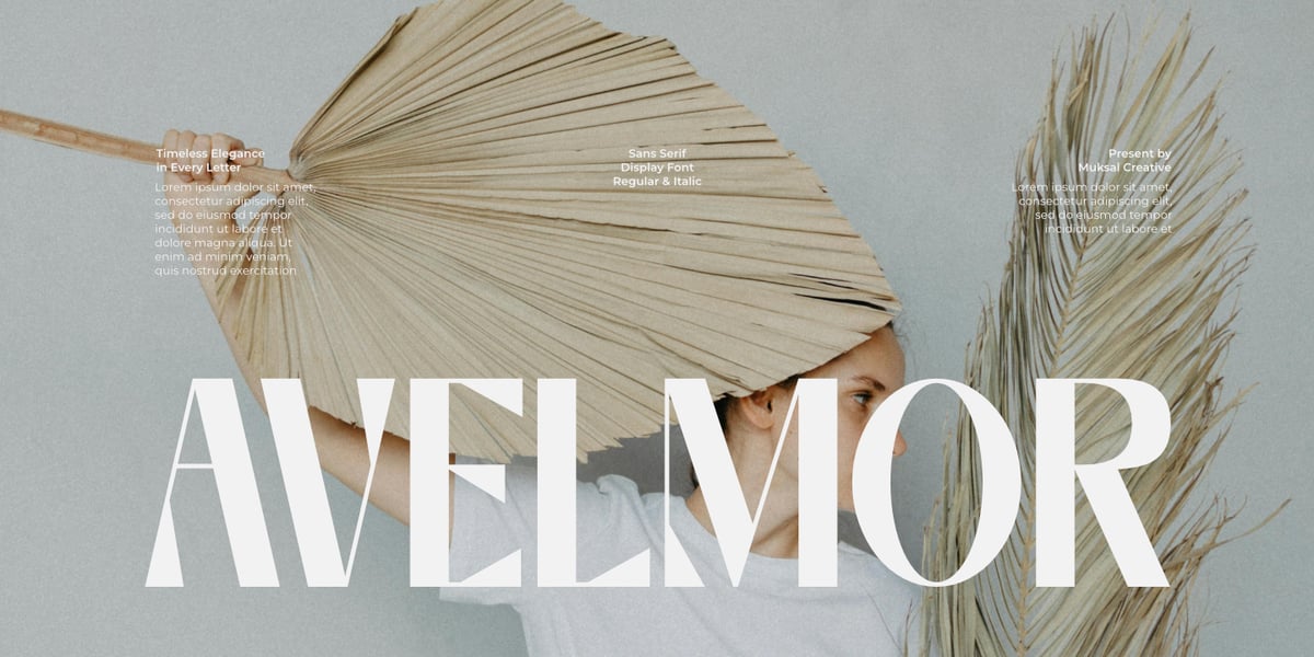Avelmor Font | Webfont & Desktop | MyFonts