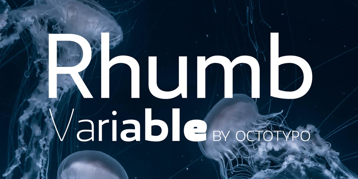 Rhumb Variable Font | Webfont & Desktop | MyFonts