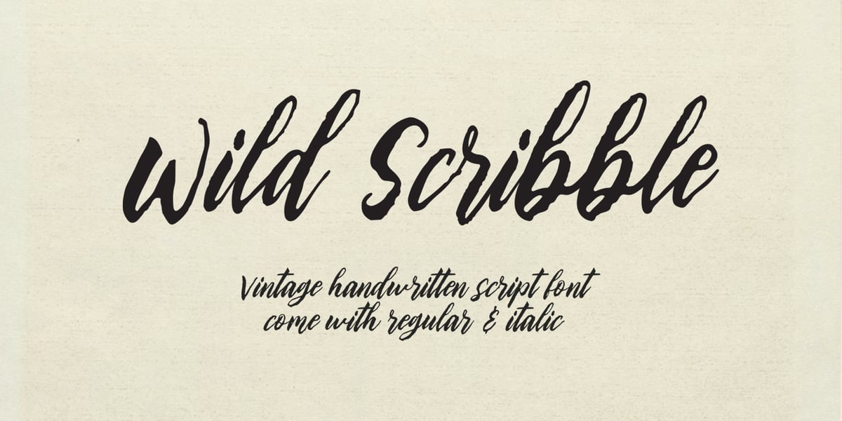 Wild Scribble Script Font | Webfont & Desktop | MyFonts