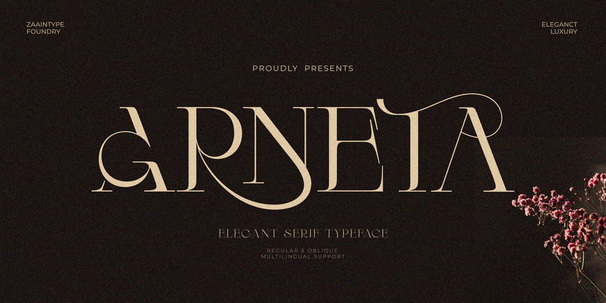 Arneta Font | Webfont & Desktop | MyFonts
