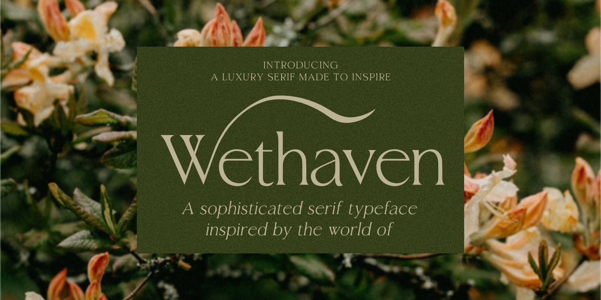 Wethaven Font | Webfont & Desktop | MyFonts