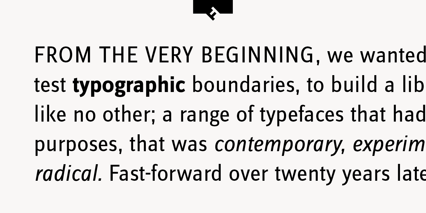 FF Zine® Sans Display