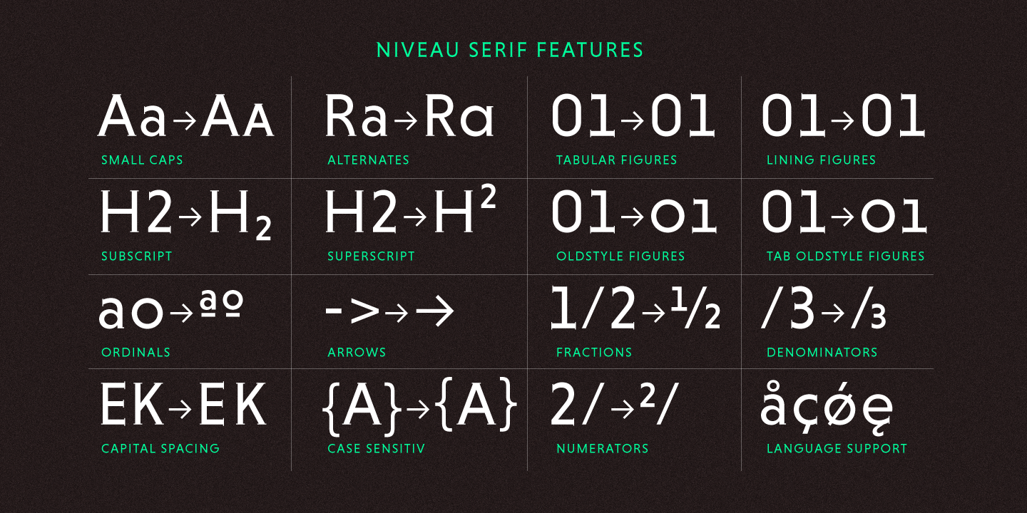 Niveau Serif™