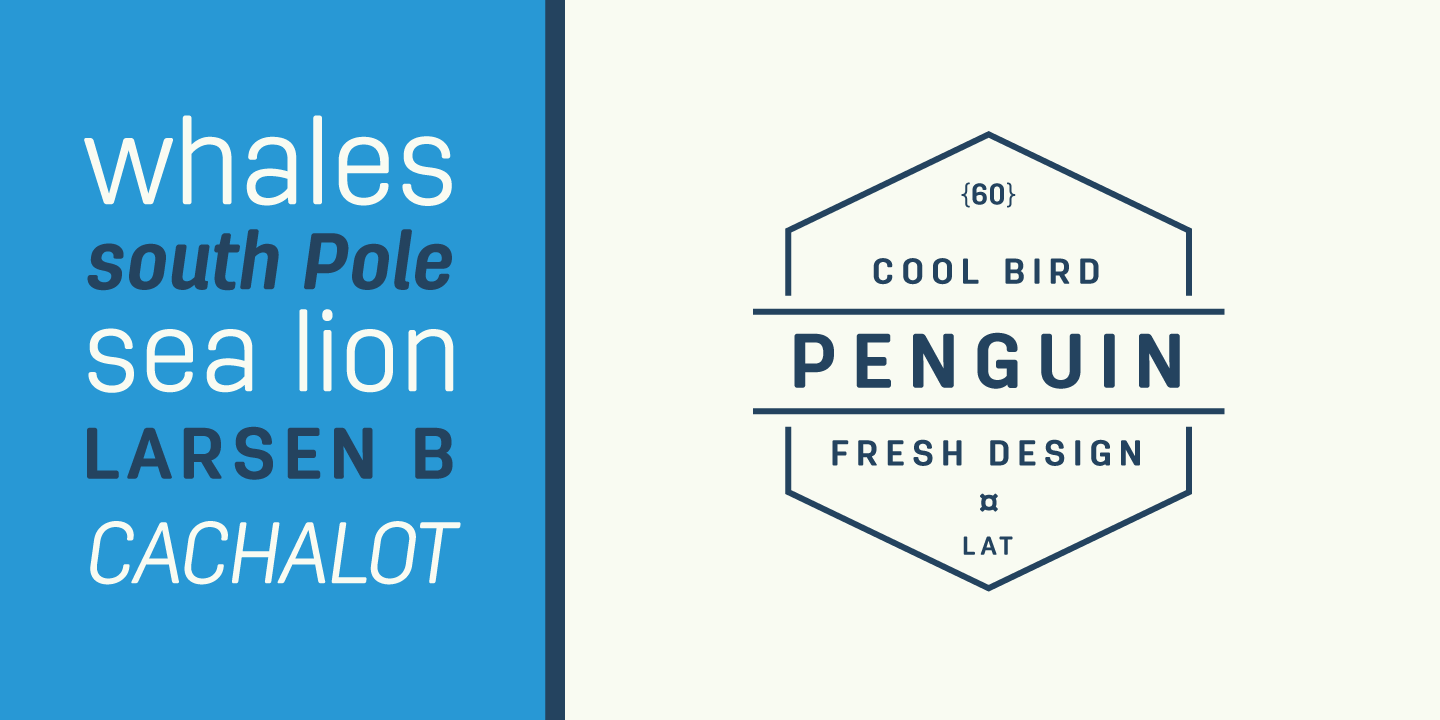 Antartida Rounded Essential