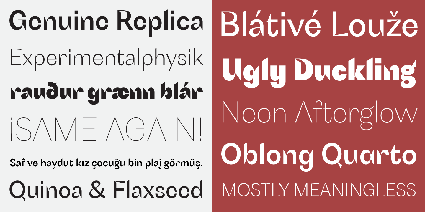 Schizotype Grotesk™