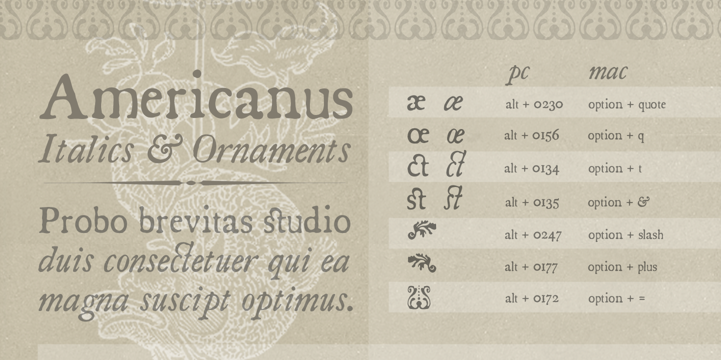 Image of Americanus Italics Font