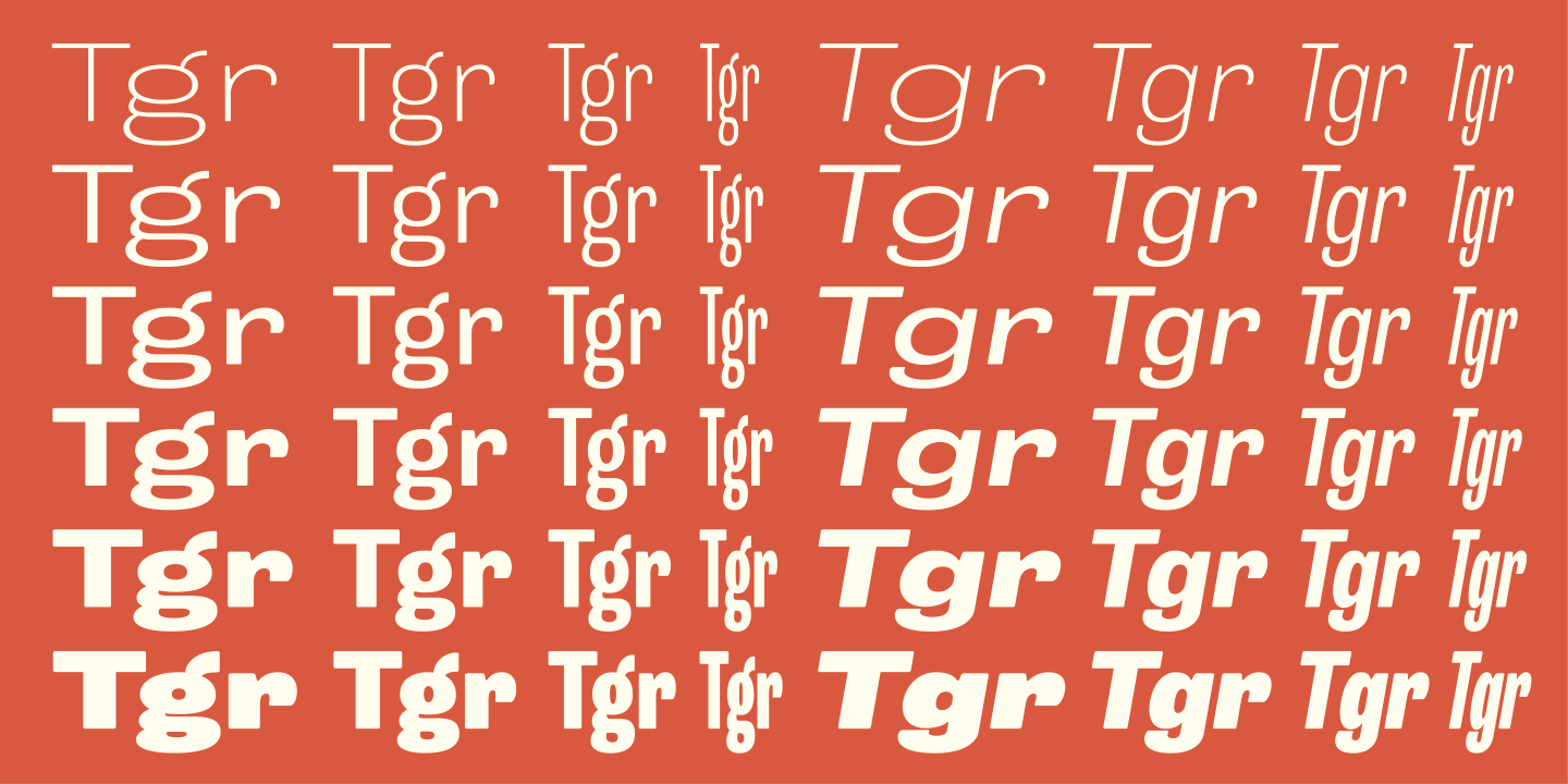 Trivia Grotesk