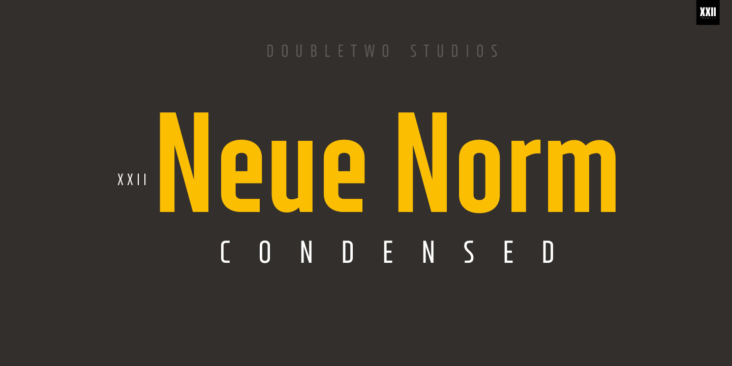 XXII Neue Norm