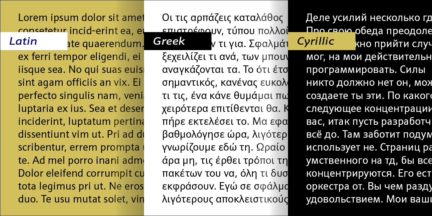 Schnebel Sans Pro™