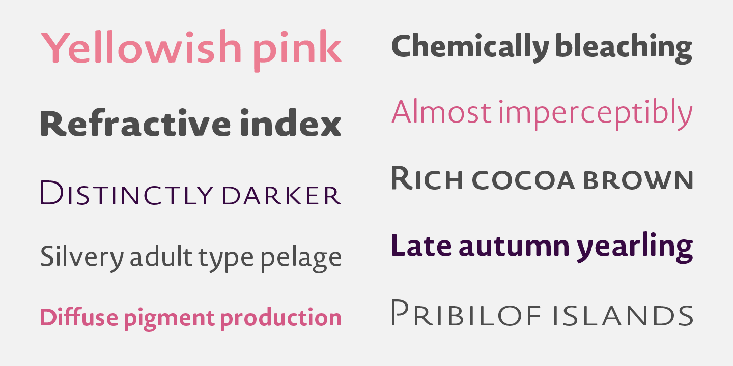 Novel Sans Rounded Pro™