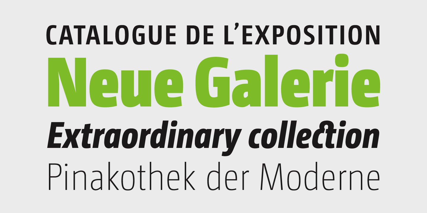 CamingoDos Condensed™