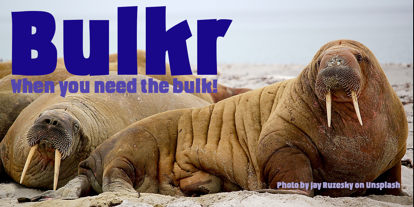 bulkr pro alternative bulkr pro alternative