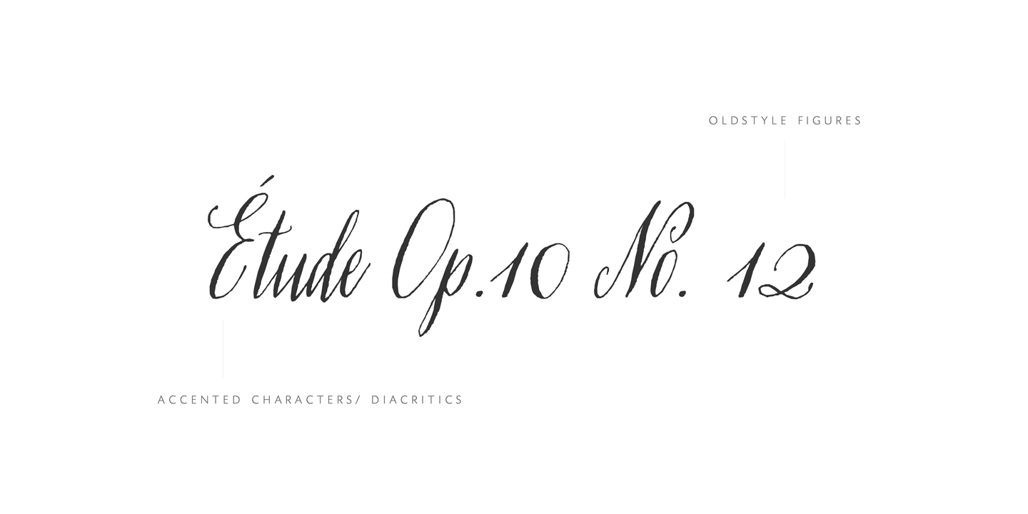 Rare Bird Specimen I