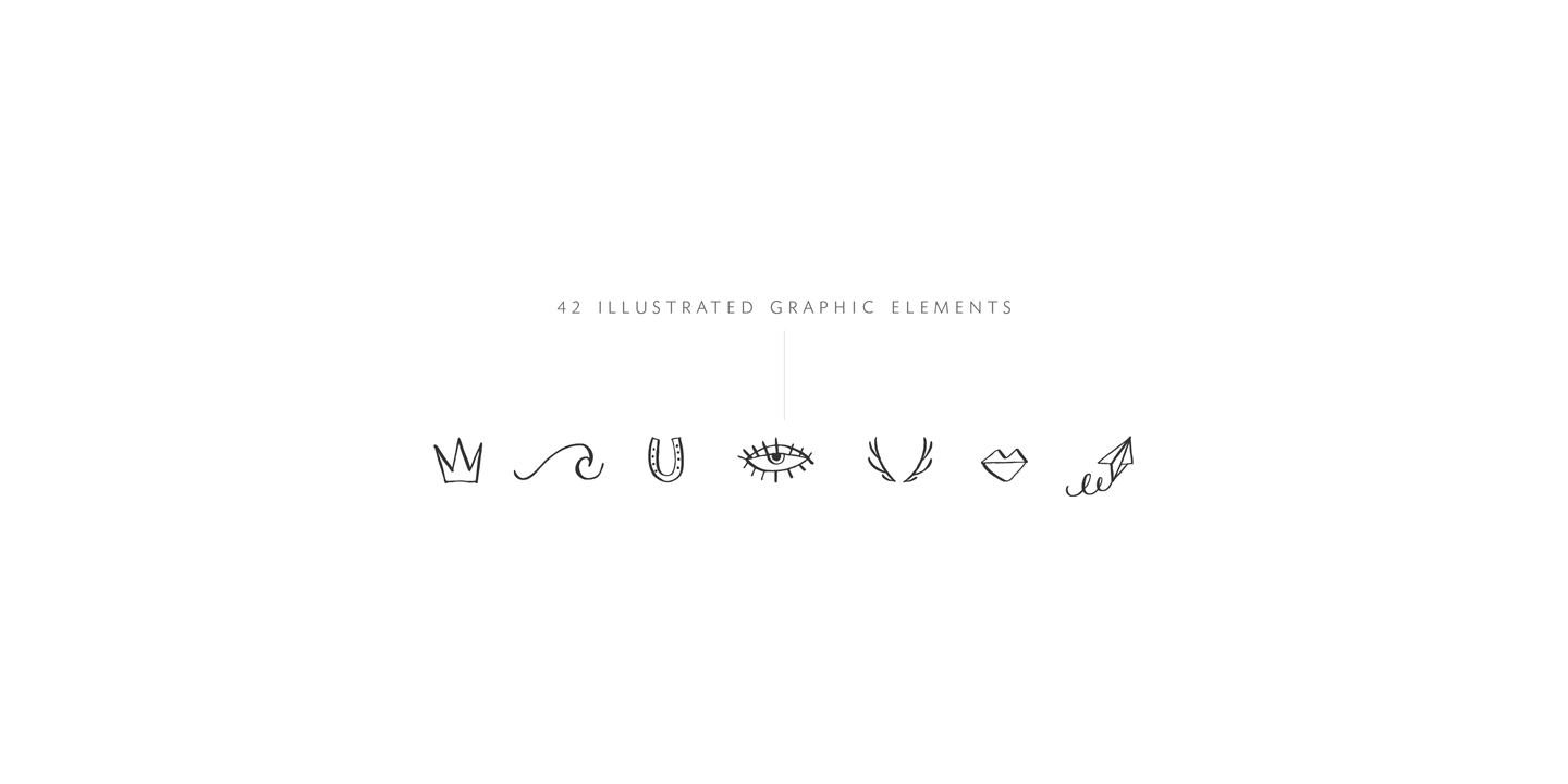 Rare Bird Specimen IV