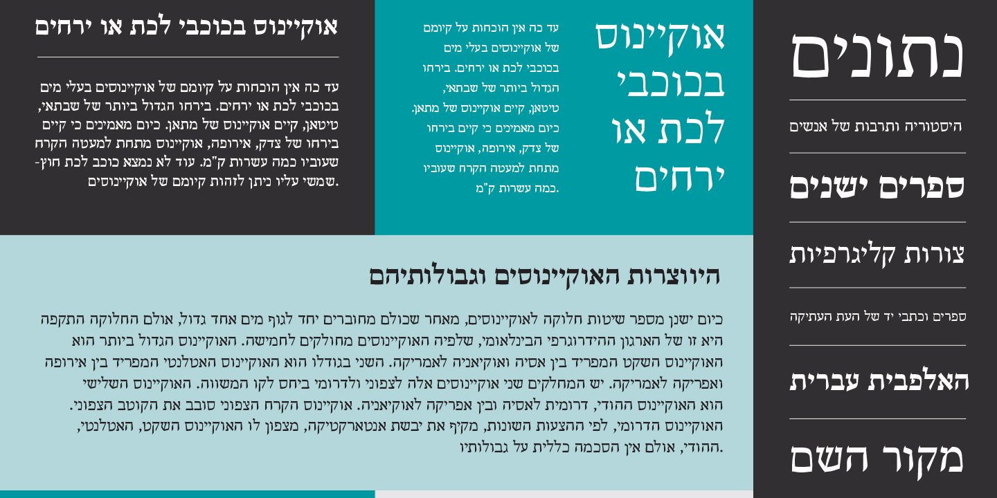 Escritura Hebrew™