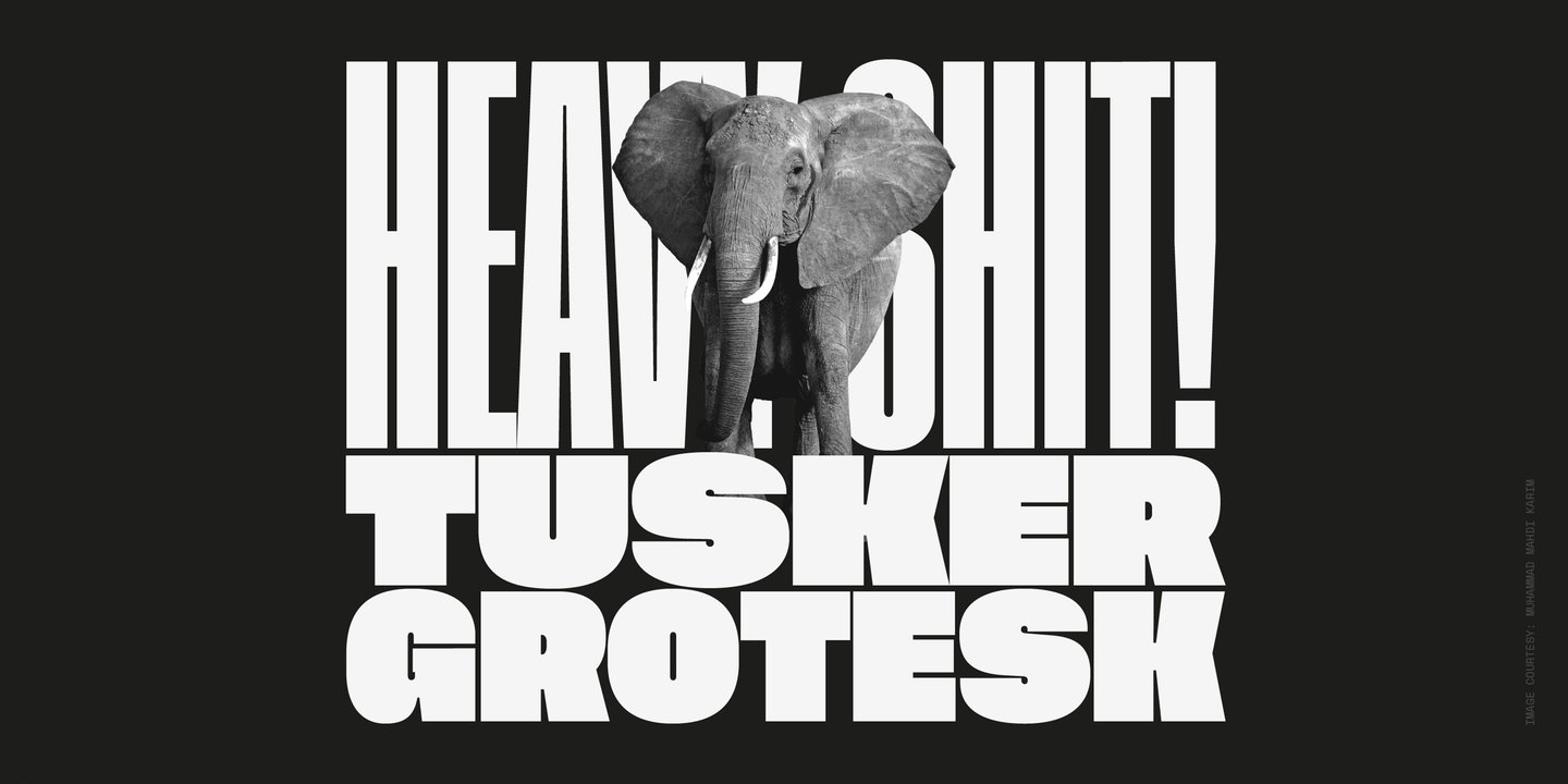 Tusker Grotesk
