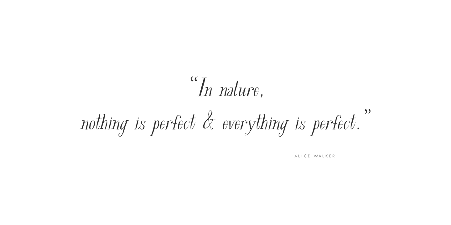 Rare Bird Specimen V