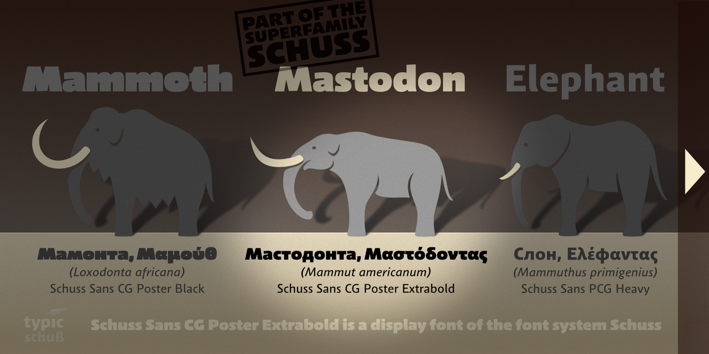 Schuss Sans CG Poster Extrabold