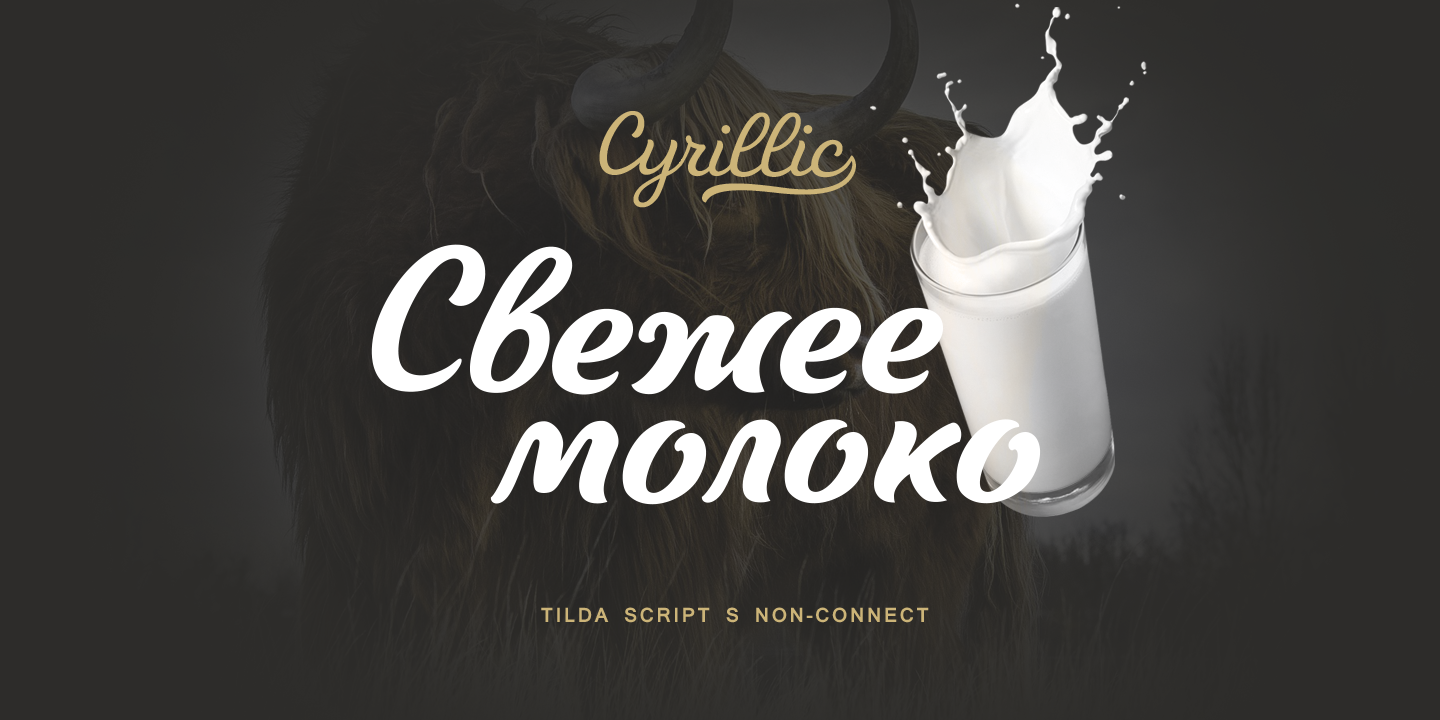 Tilda Script