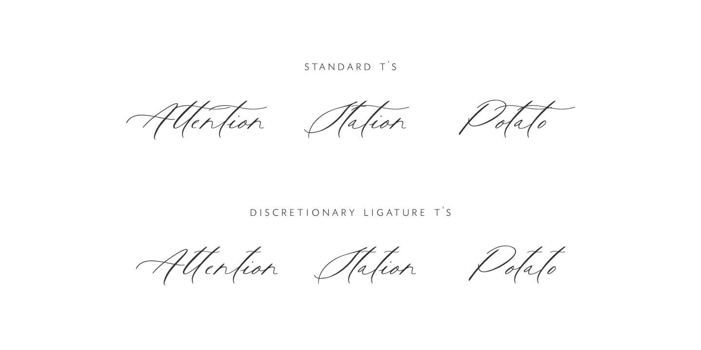 Rare Bird Specimen VI