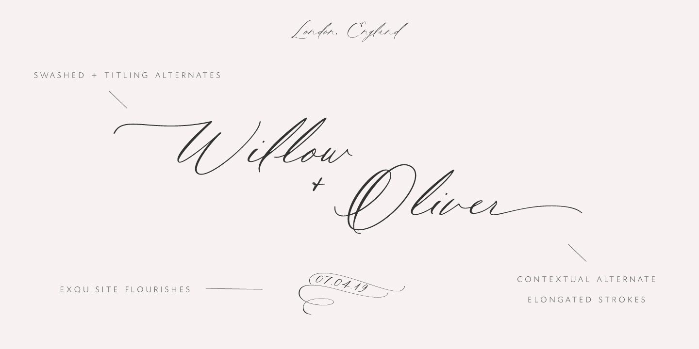 Rare Bird Specimen VI