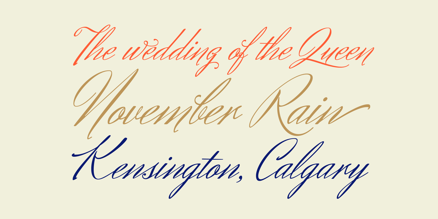 Herr Von Muellerhoff Pro